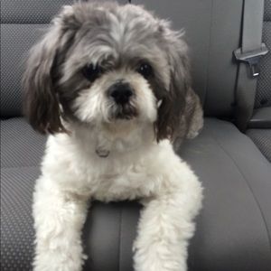 Meet your Posher, Stacie